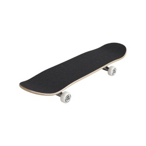 SKATEBOARD ZOO YORK CITY