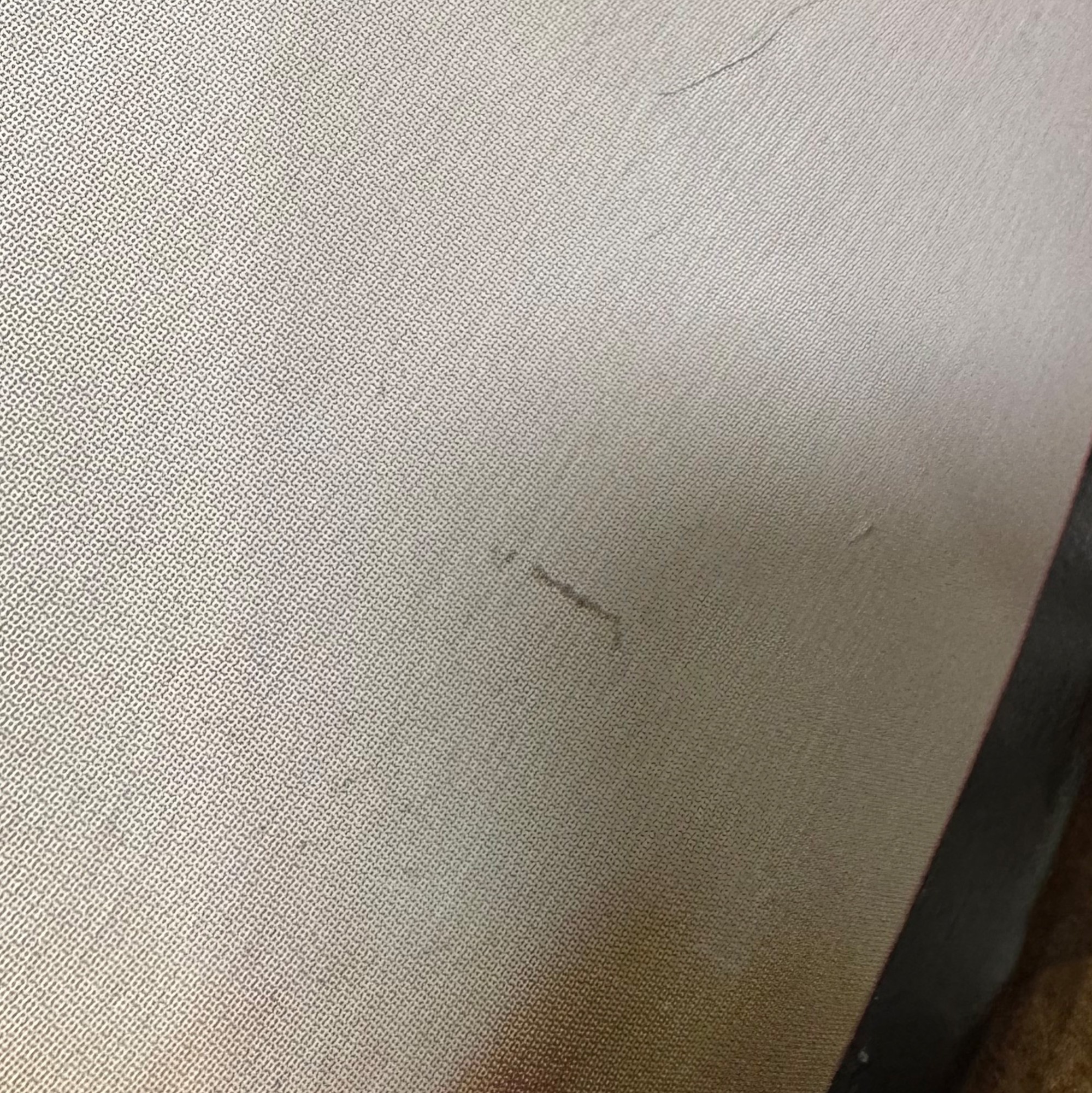 Longboard Long Island Dart 35.5" | Achat En Ligne | Jack'n Roll