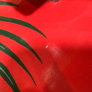 Surfskate Yow Medina Bengal 33" Signature Series | Achat En Ligne | Jack'n Roll