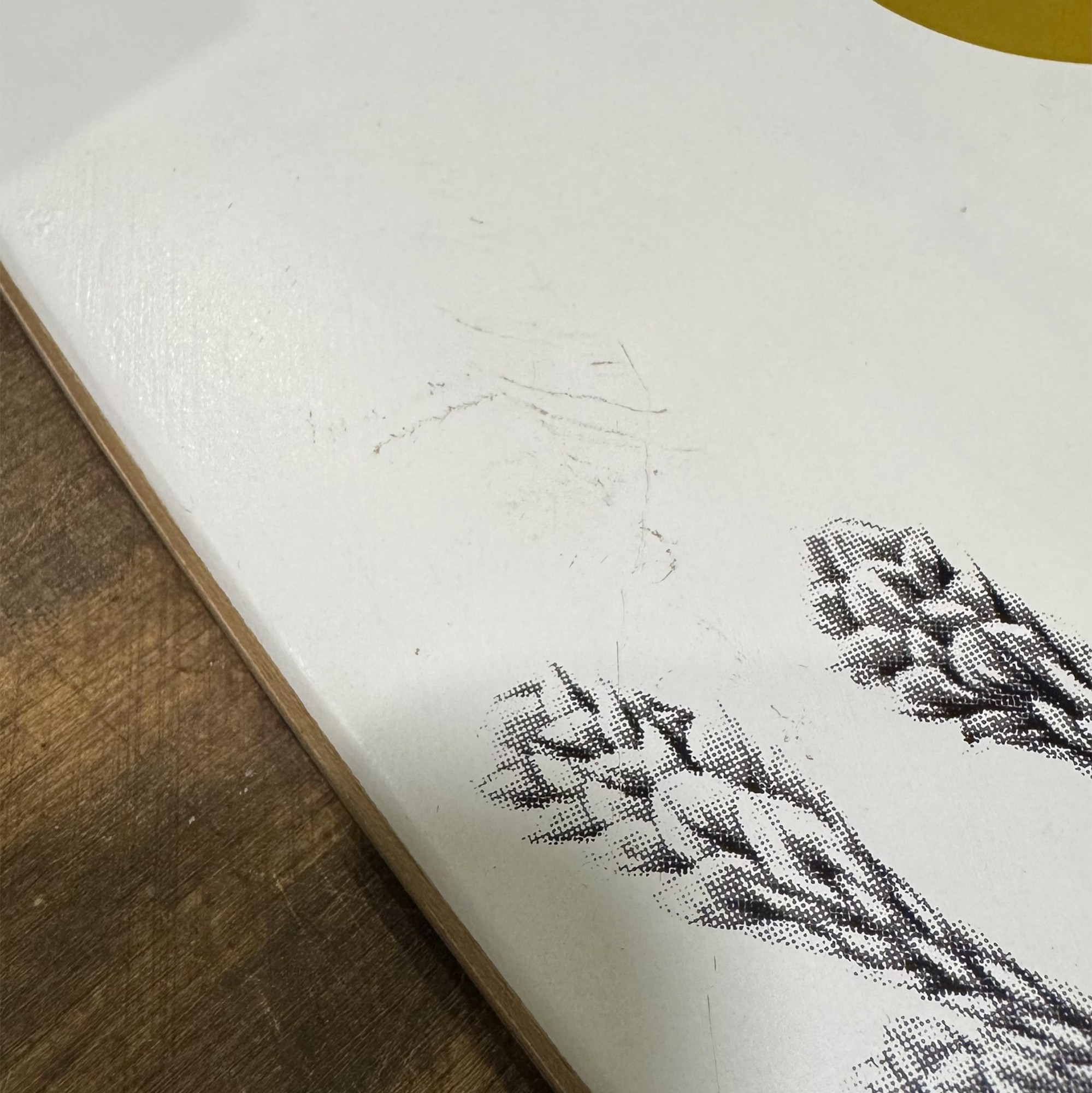 Cruiser Arbor Bamboo Sizzler | Cruiser Complet | Jack'n Roll