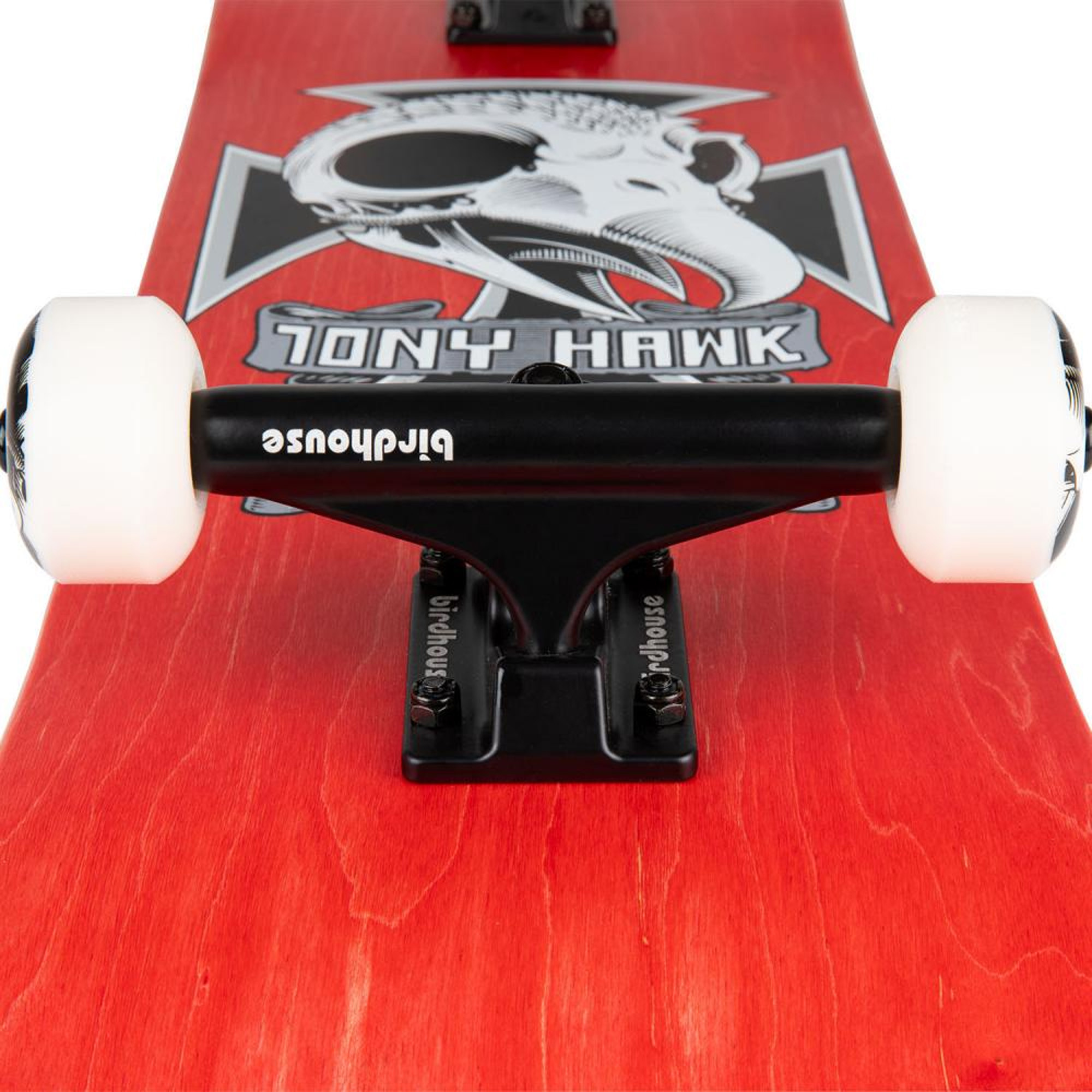 Skateboard 8.25" Complet Birdhouse Stage 3 Hawk Skull 2 | Jack'nRoll