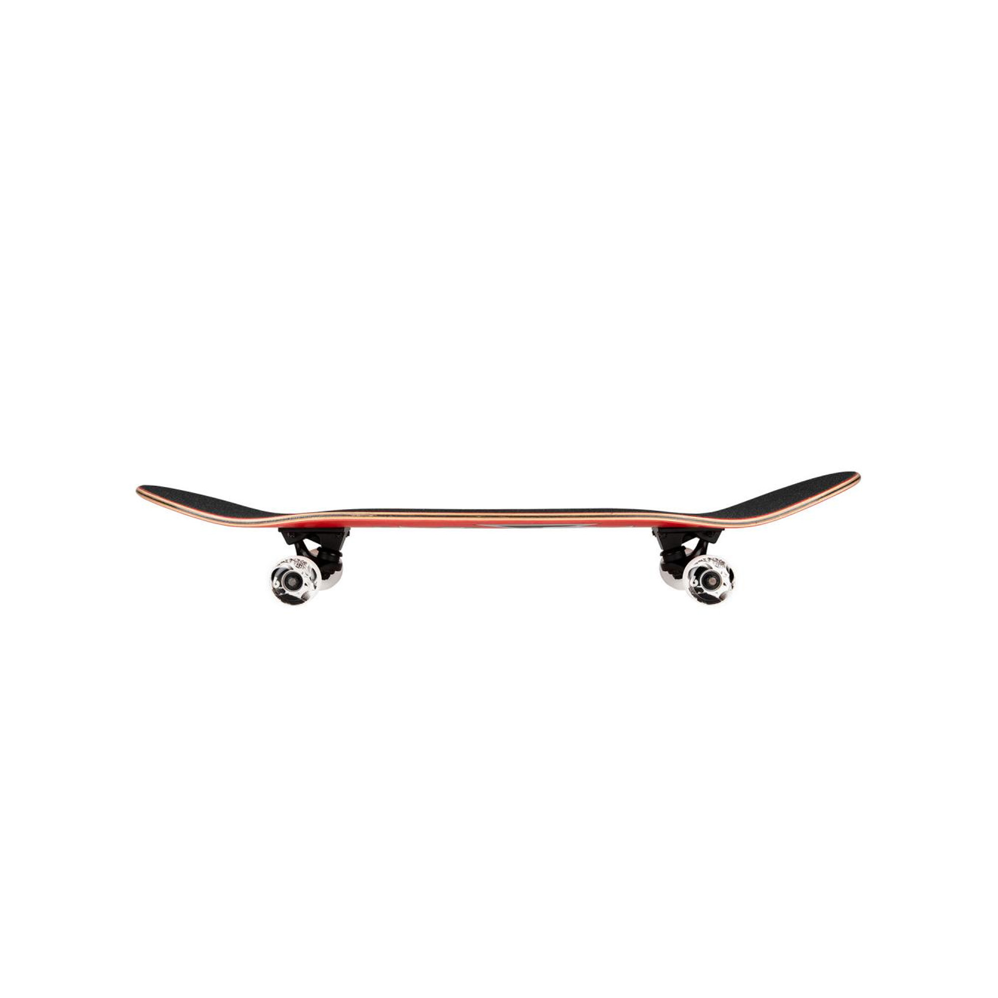 Skateboard 8.25" Complet Birdhouse Stage 3 Hawk Skull 2 | Jack'nRoll