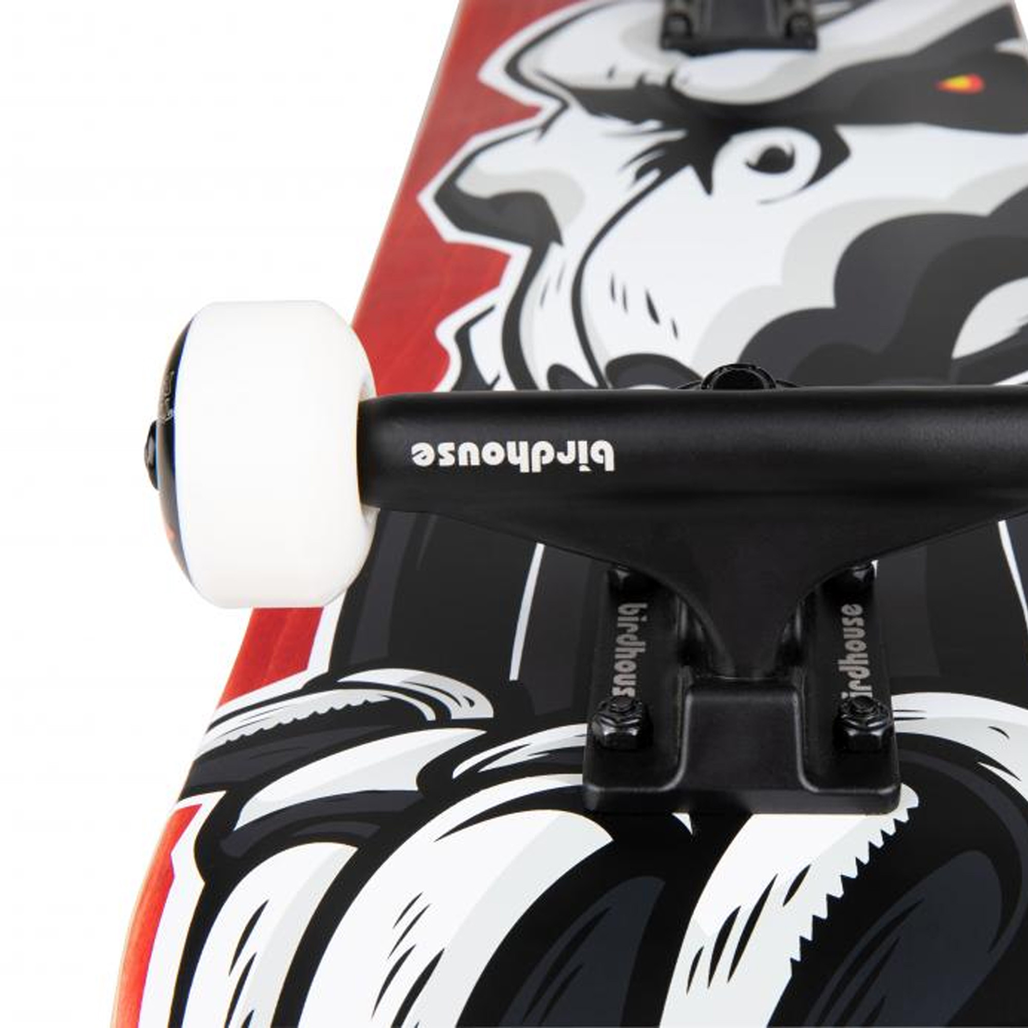 Skate Birdhouse Hawk Falcon 8” précis | Achat en ligne |  Jack'nRoll