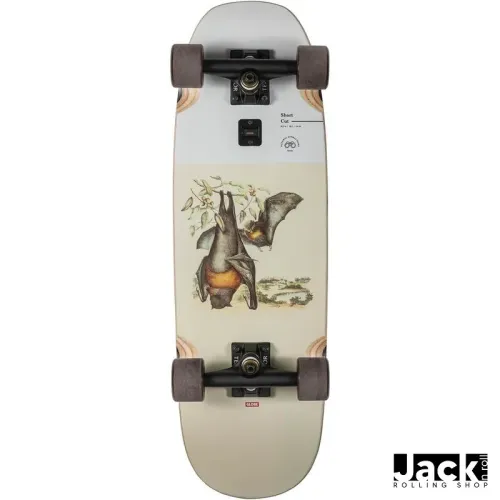CRUISER GLOBE SHORT CUT